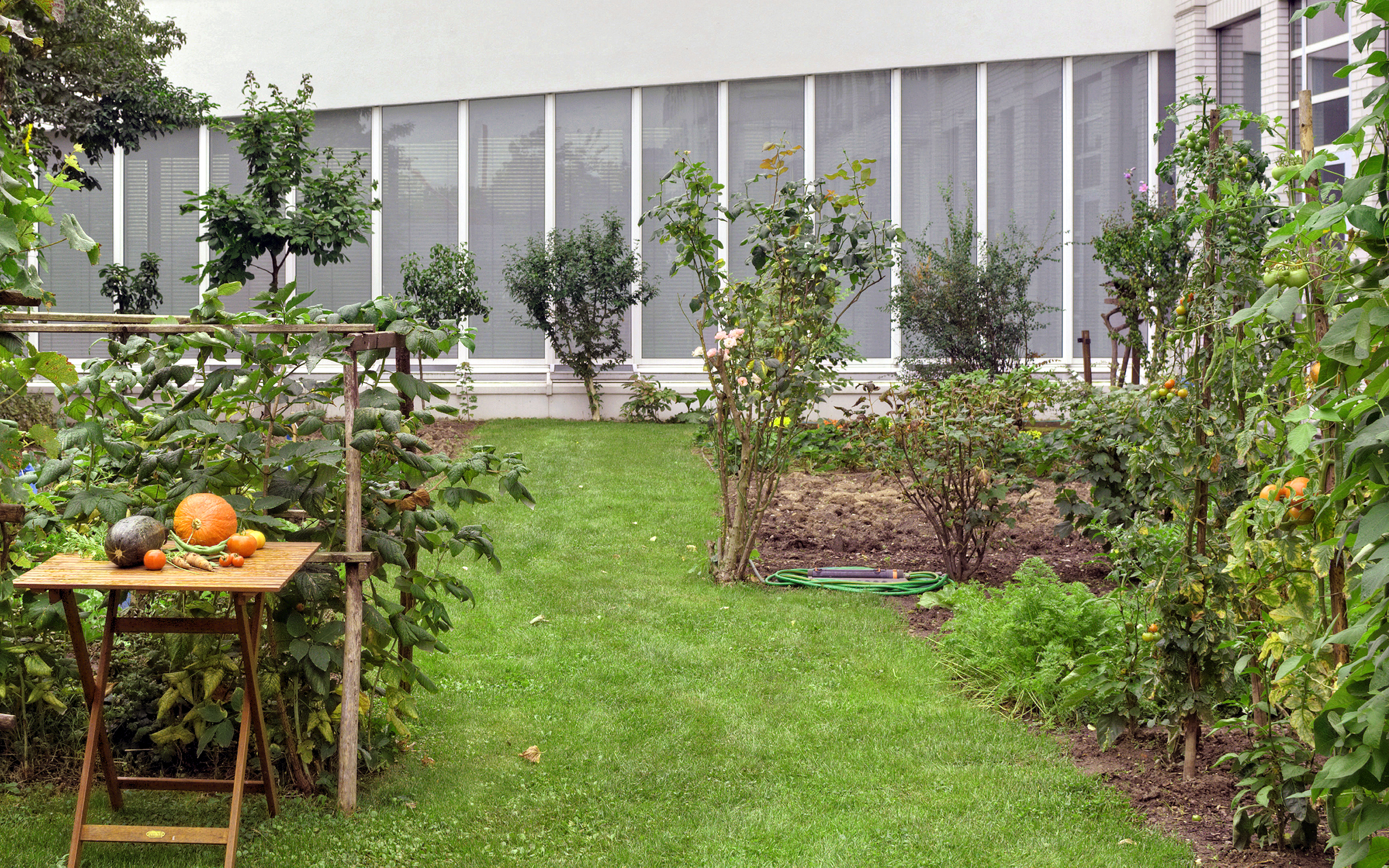 Gemüsebeete und geerntetes Gemüse