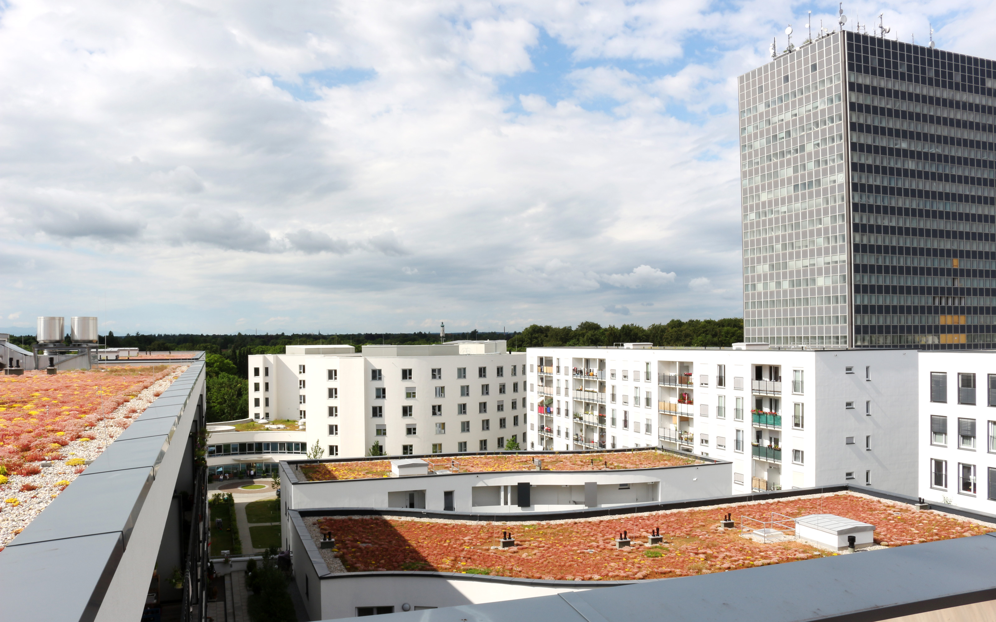 Mehrere mit Sedum begrünte Dächer, umgeben von Wohnblocks.
