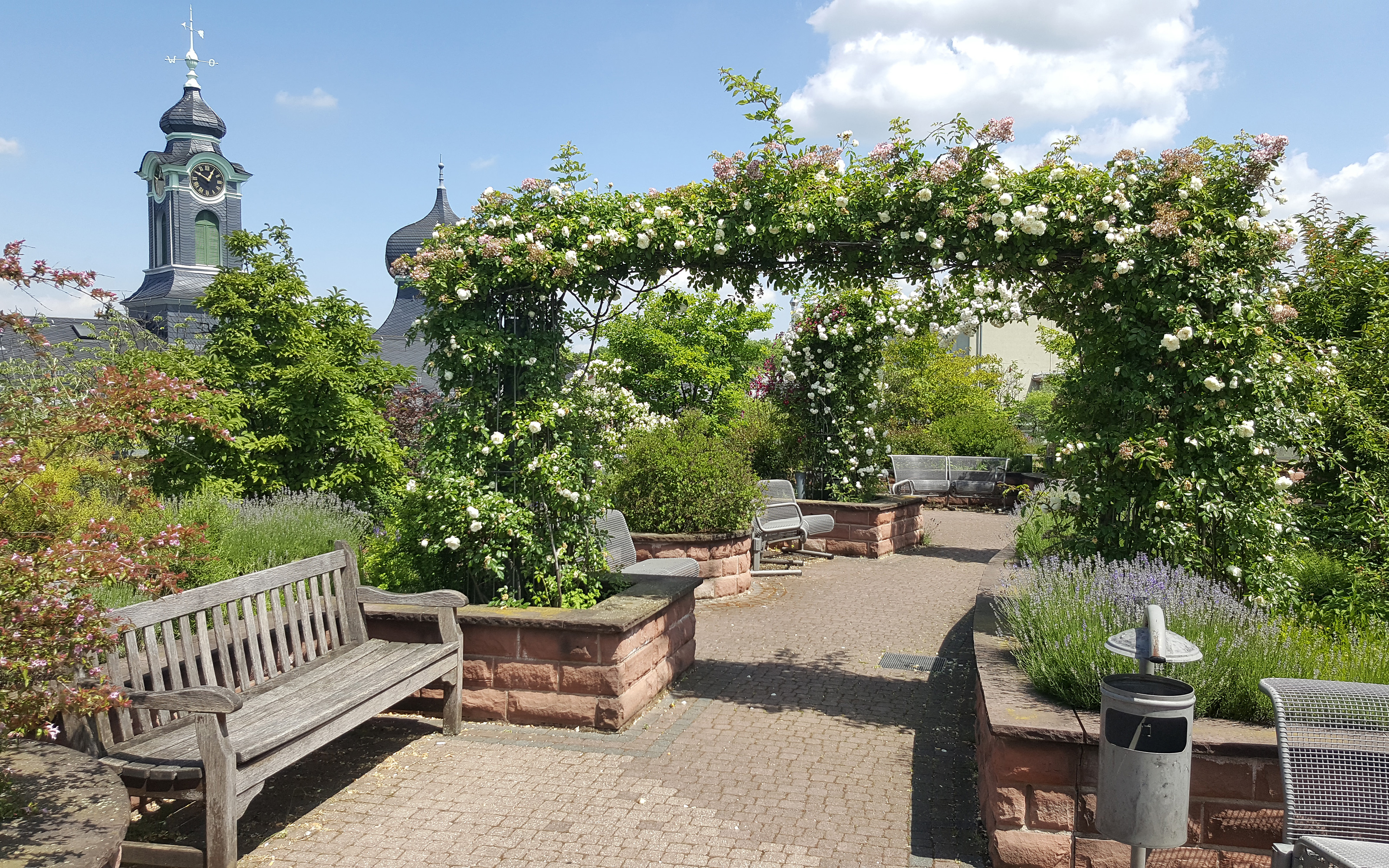 Bänke entlang eines Weges mit Rosenspalieren auf dem Dach