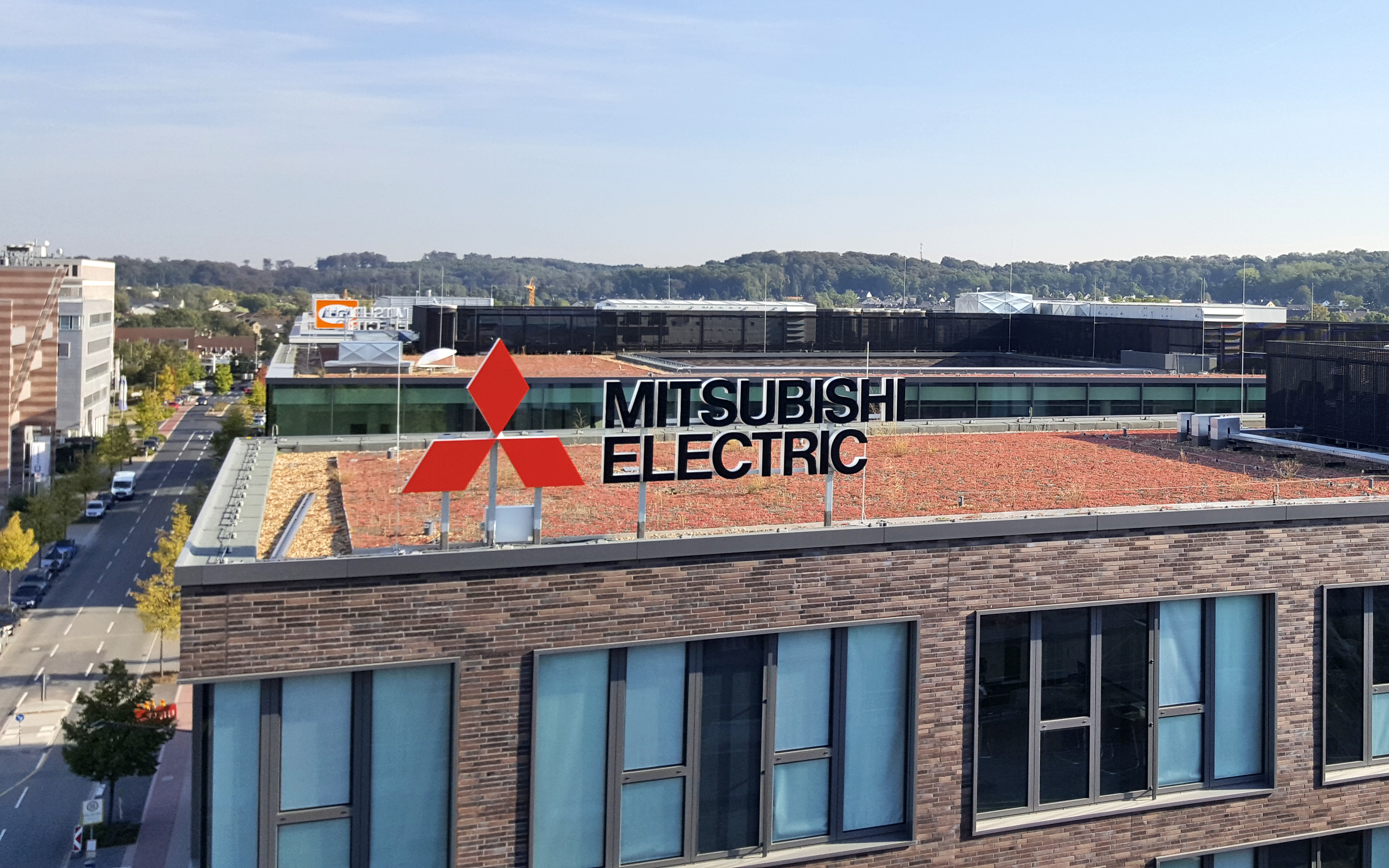 Sedum-Dach auf einem Firmengebäude