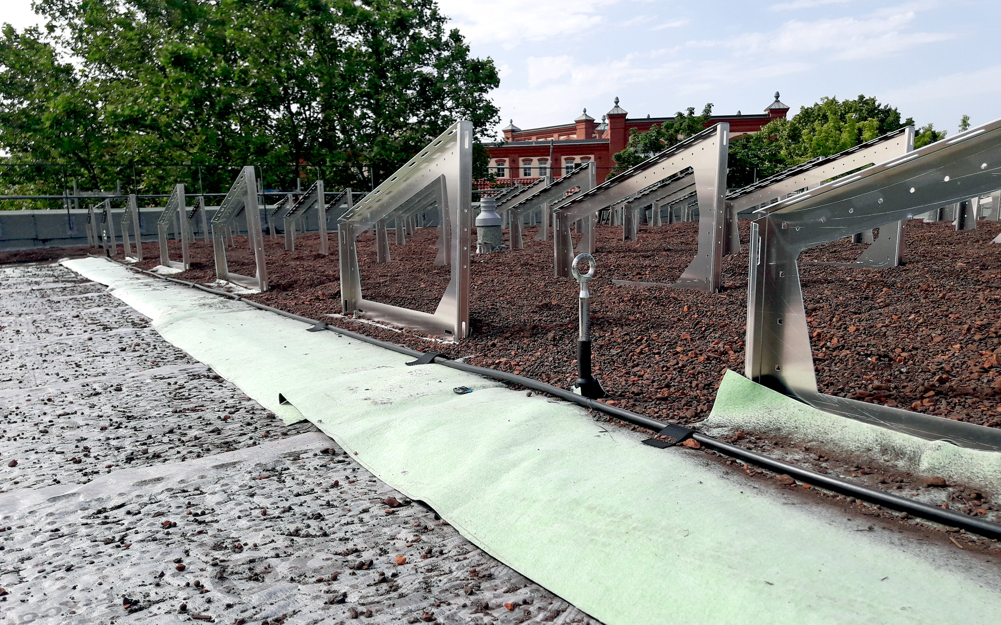 Dachaufbau mit Solargrundrahmen, Substrat und Aquafleece® AF 300