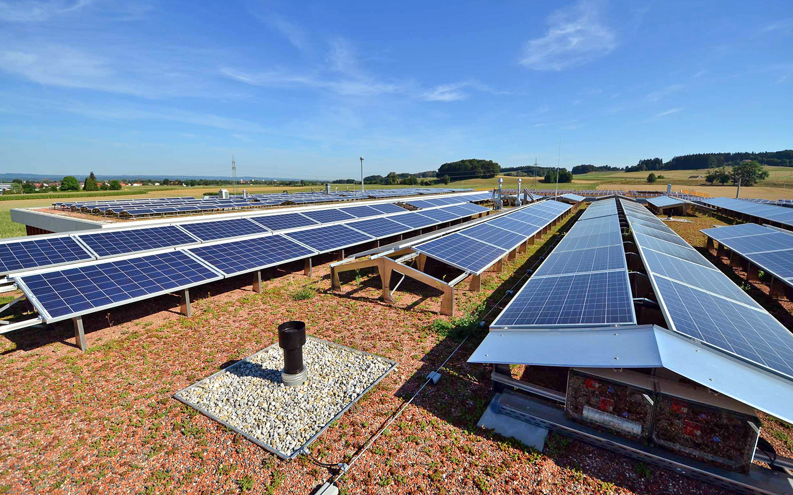 Dachbegrünung mit Solar