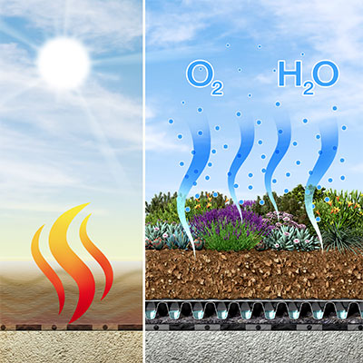 Zeichnung eines Gründachs und der Luftbefeuchtung