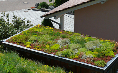 Begrüntes Garagendach