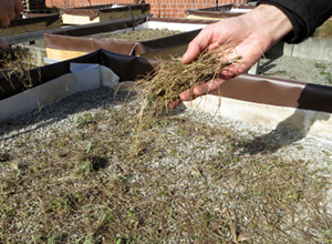 Ausbringen von Rechgut Hand mit Rechgut