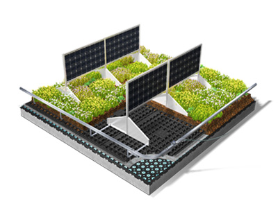 Systemgrafik Gründach und Solar mit Vertikalausrichtung