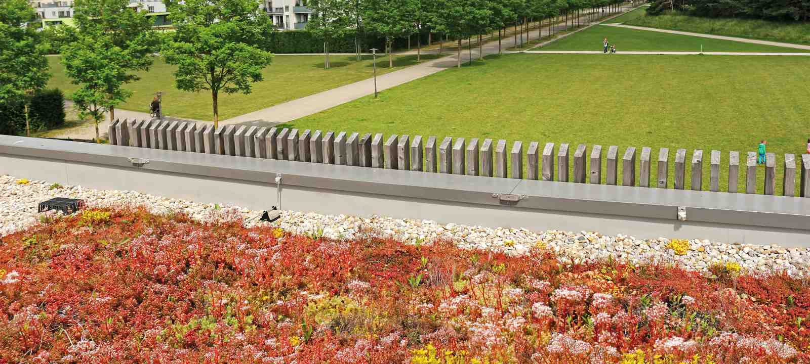 Extensiv begrüntes Dach in grüner Landschaft mit Wald und Wiesen