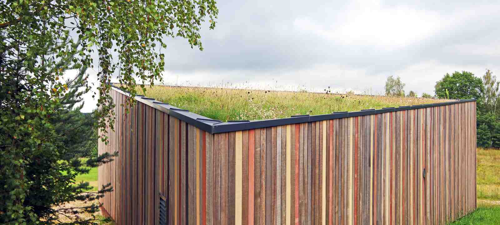 Kleines Holzhaus mit extensiver Begrünung