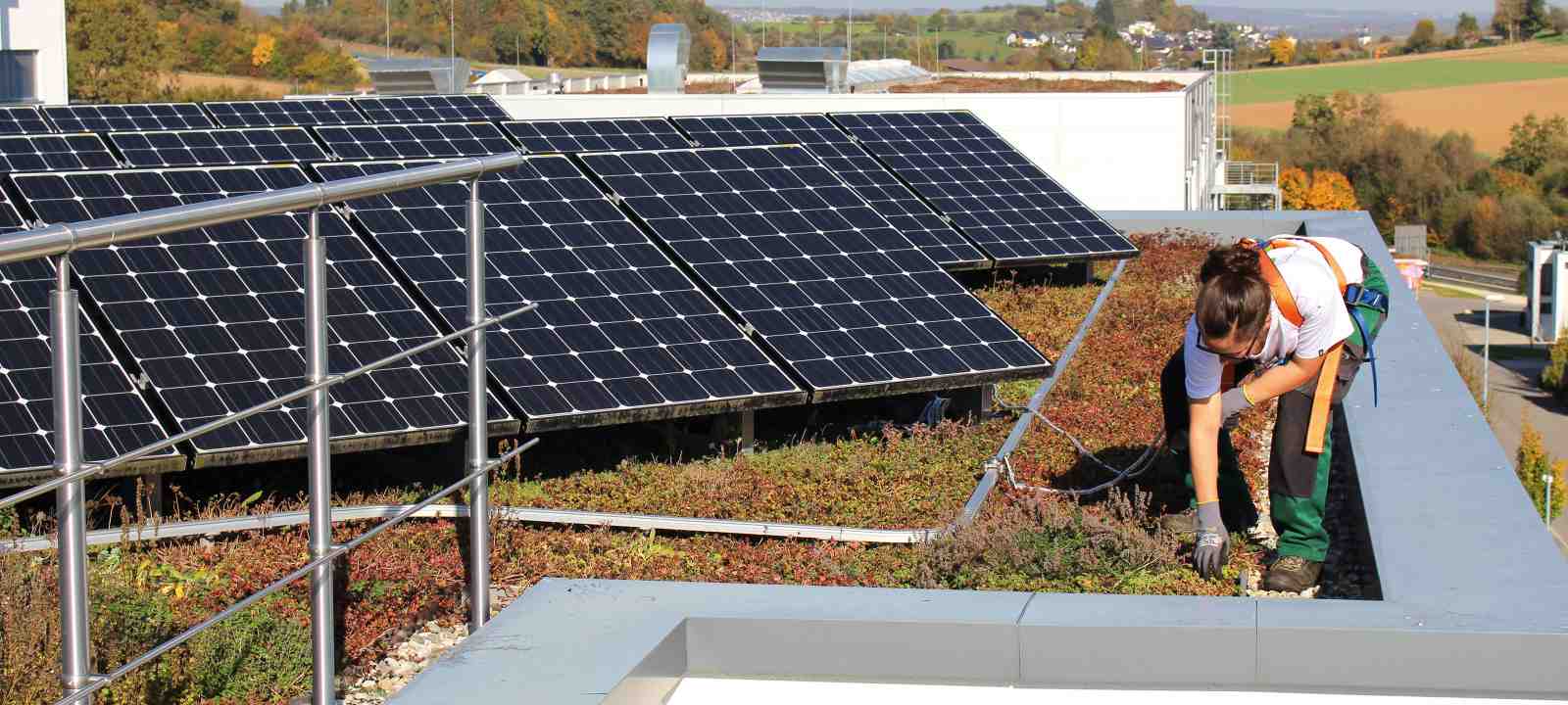 Person mit Fallnet® SB 200-Rail auf einem Gründach mit Photovoltaik