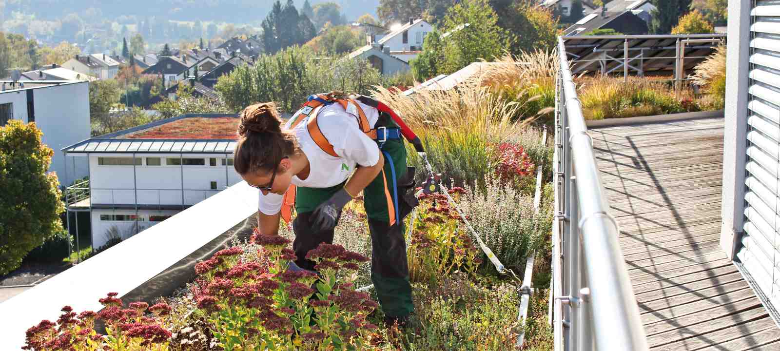 Dachgärtnerin mit Fallnet® SR-Rail 