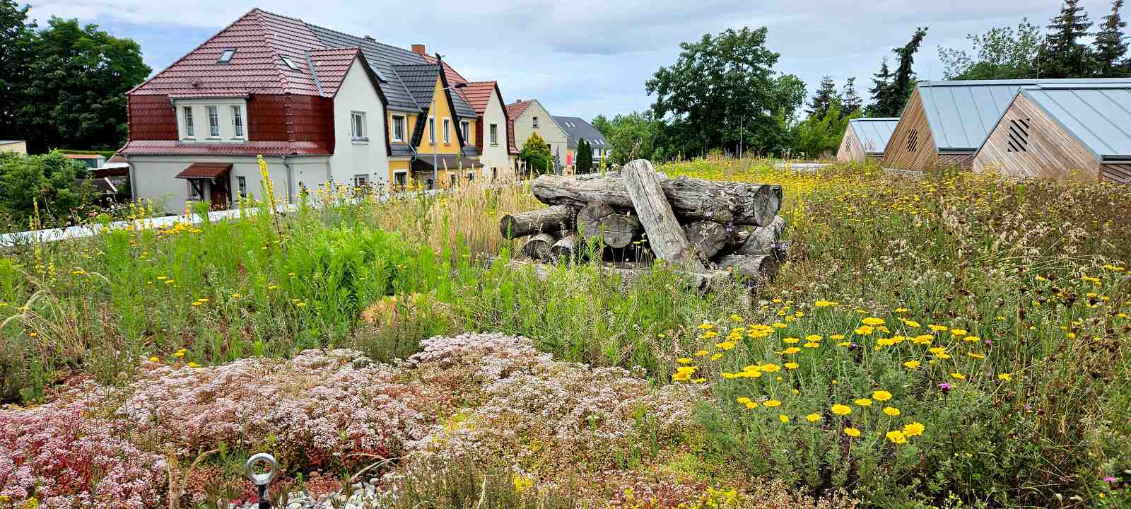 Biodiversitäts-Gründach mit Totholz und Fallnet® Absturzsicherung