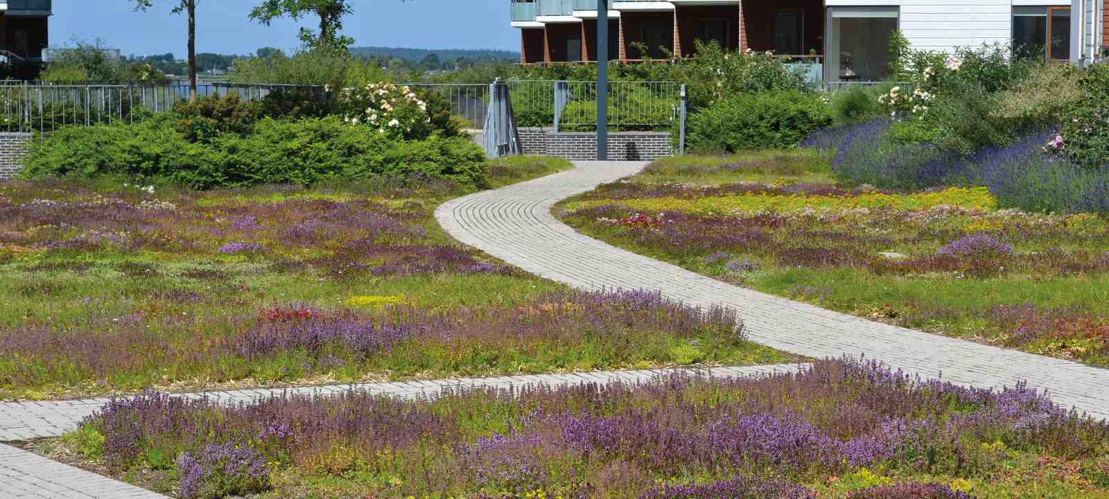 Begrünte Tiefgarage