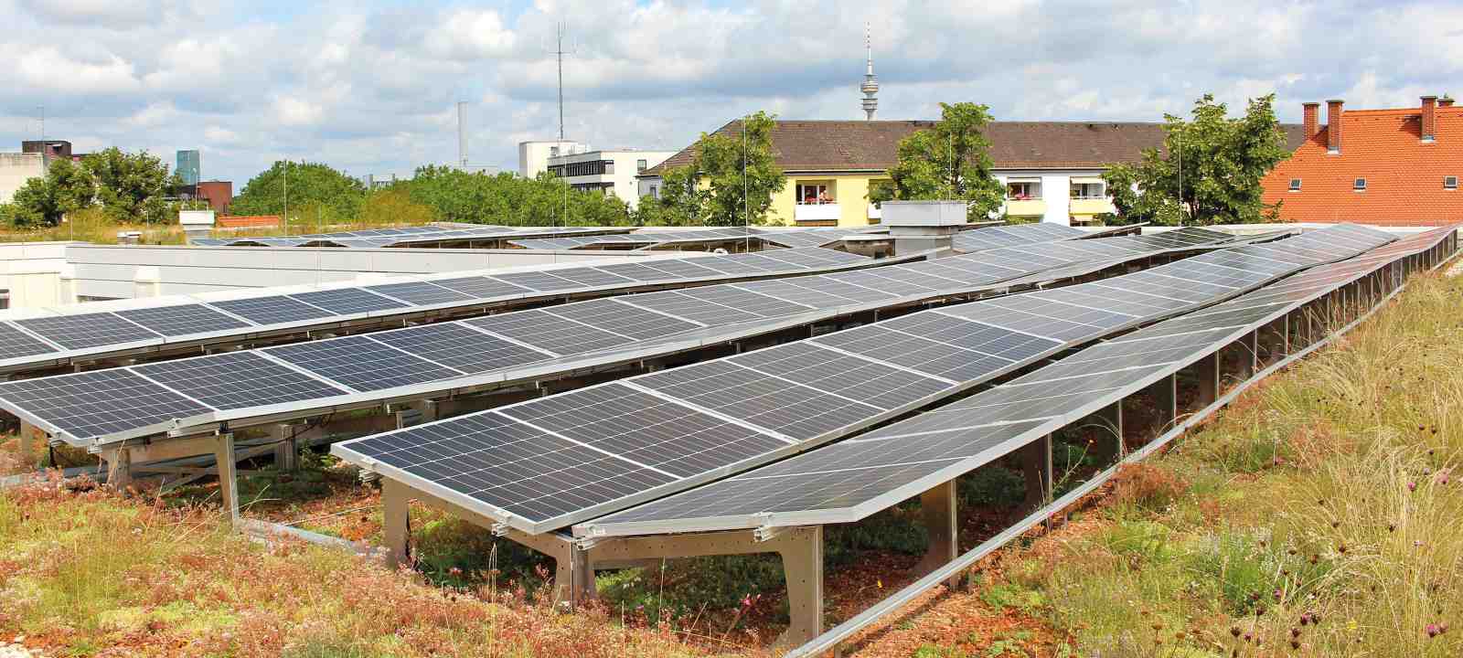 Gründach mit Solar in Schmetterlings-Anordnung