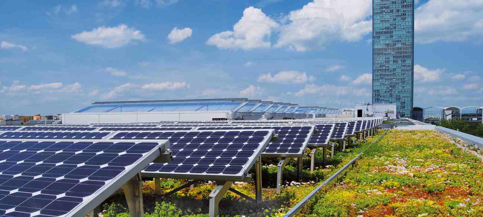 Gründach mit Photovoltaik
