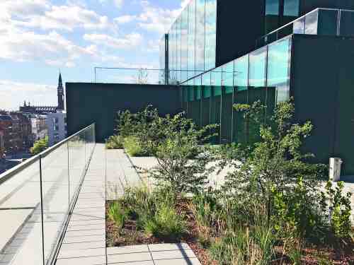Dachterrasse mit Belag und Pflanzbereichen