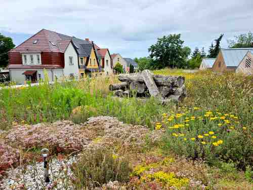 Biodiversitäts-Gründach mit Totholz und Fallnet® Absturzsicherung