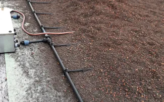 Substrat und Tropfschläuche