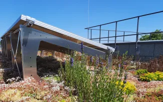 Gründach mit Sedum, Natterkopf, Solar und Geländer