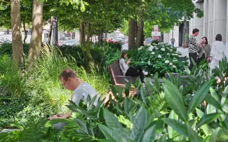 Grünflächen in der Stadt