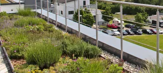 Gründach mit Geländer