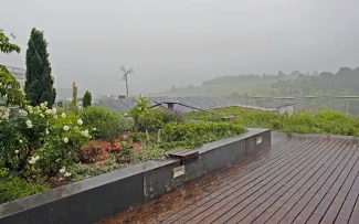 Dachgarten im Regen