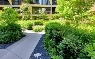 Gehweg durch Grünanlage 