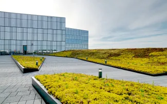 Dachgarten mit Extensivbegrünung