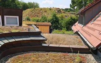 Dachbegrünung