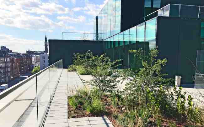 Dachterrasse mit Belag und Pflanzbereichen